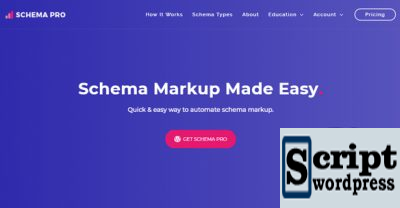 wp-schema-pro-v1.1.2-schema-markup-made-easy